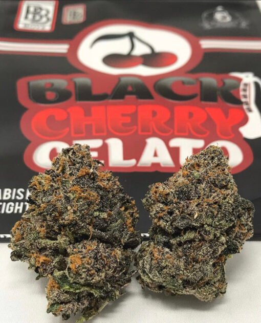 Black Cherry Galeto | Persy Baller Jar